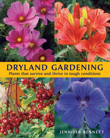 Dryland Gardening: Plants that Survive and Thrive in Tough Conditions - JENNIFER BENNETT