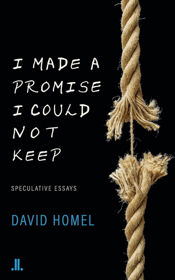 I Made a Promise I Could Not Keep: Speculative Essays - DAVID HOMEL