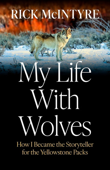 My Life With Wolves: How I Became the Storyteller for the Yellowstone Packs - RICK MCINTYRE
