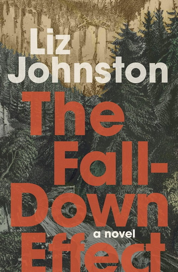 The Fall-Down Effect - LIZ JOHNSTON
