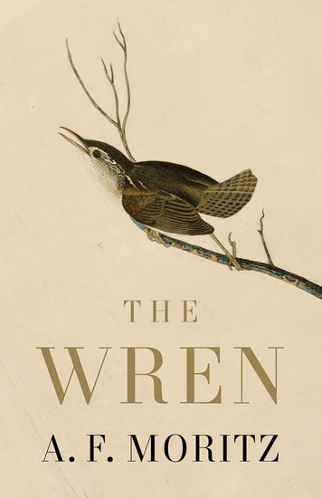 The Wren - AF MORITZ
