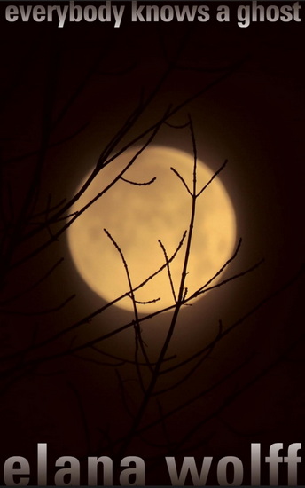 Everybody Knows a Ghost - ELANA WOLFF