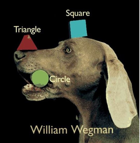 Triangle, carré, cercle - WILLIAM WEGMAN
