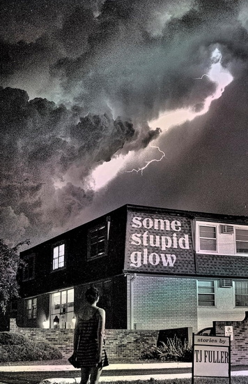 Some Stupid Glow - TJ FULLER