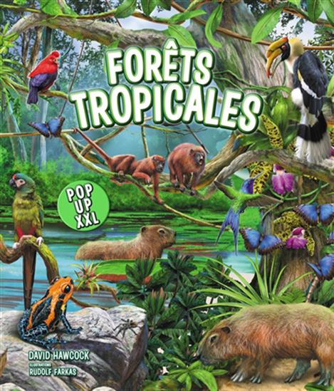 Forêts tropicales - DAVID HAWCOCK - RUDOLF FARKAS