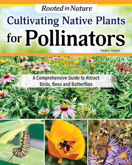 Cultivating Native Plants for Pollinators: A Comprehensive Guide to Attracting Birds, Bees and Butterflies - HELEN YOEST