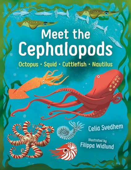 Meet the Cephalopods: Octopus, Squid, Cuttlefish, Nautilus - CELIA SVEDHEM - FILIPPA WIDLUND