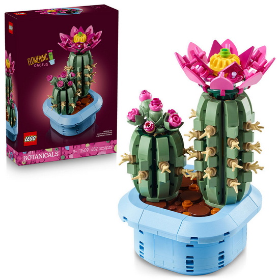 Cactus fleuri
