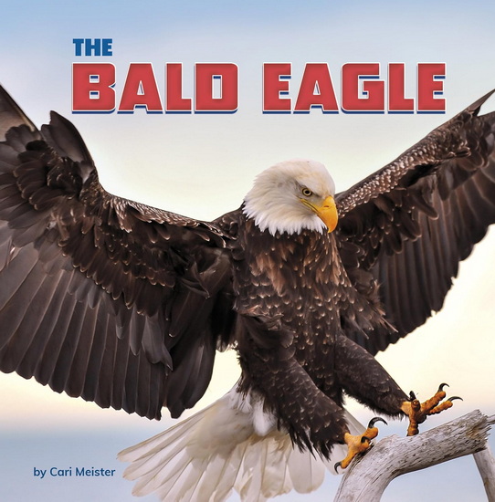 The Bald Eagle - CARI MEISTER