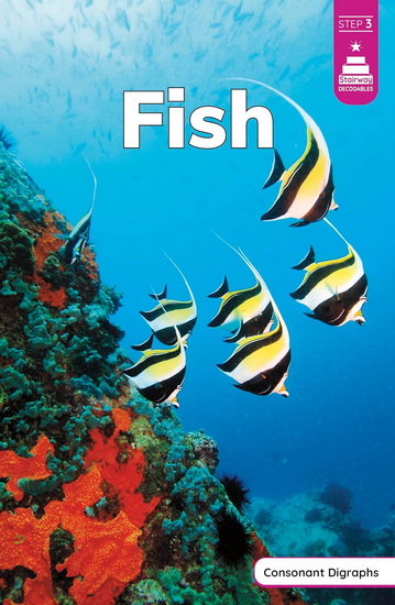 Fish - HALEY WILLIAMS