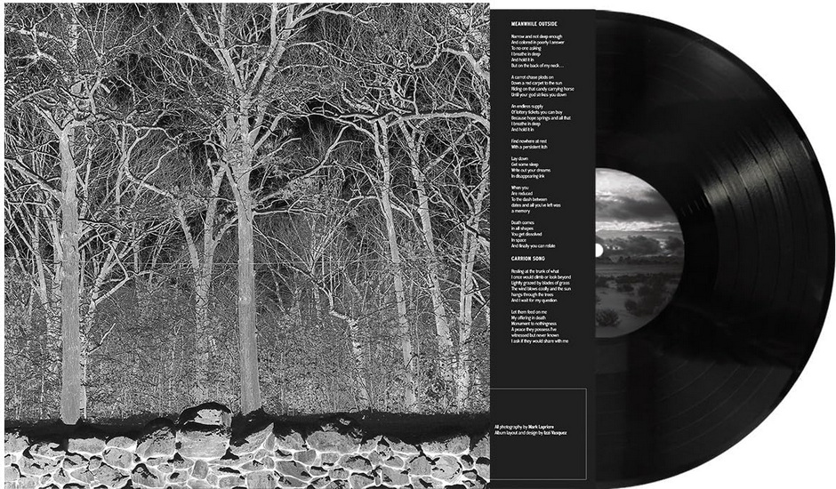 Sunshine And Balance Beams (Vinyle) - PILE