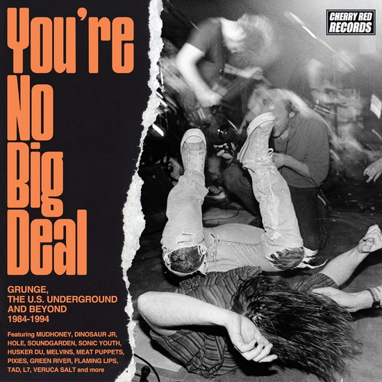 You're No Big Deal: Grunge, The US Underground And Beyond (4CD) - ARTISTES VARIÉS