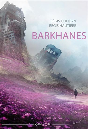 Barkhanes - RÉGIS GODDYN - RÉGIS HAUTIÈRE