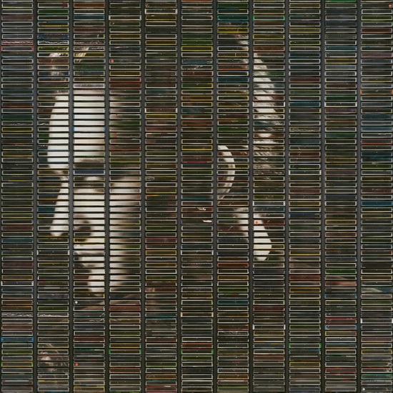 Poussière D’Or - STEPHAN EICHER