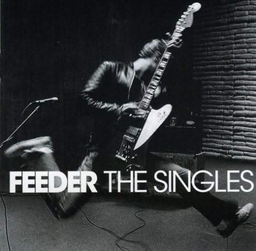 The Singles (Vinyle) - FEEDER