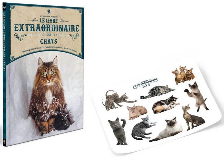 Le Livre extraordinaire des chats - BARBARA TAYLOR & AL