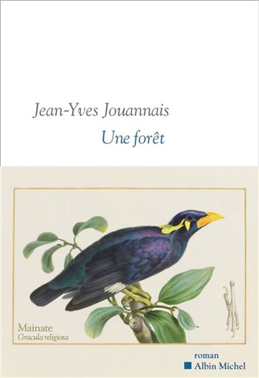 Une forêt - JEAN-YVES JOUANNAIS