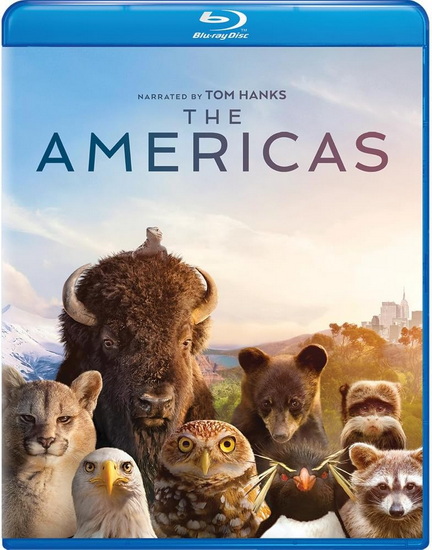 Americas, The: Complete Limited Series (Blu-ray)