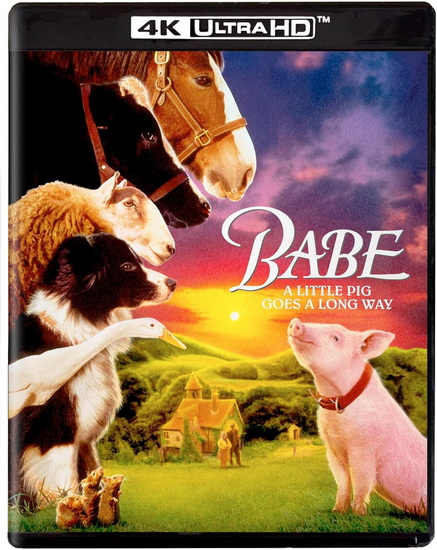 Babe (4K) - CHRIS NOONAN