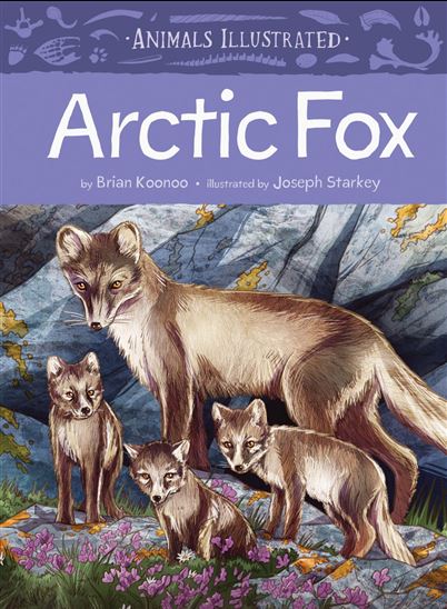 Animals Illustrated: Arctic Fox - BRIAN KOONOO - JOSEPH STARKEY
