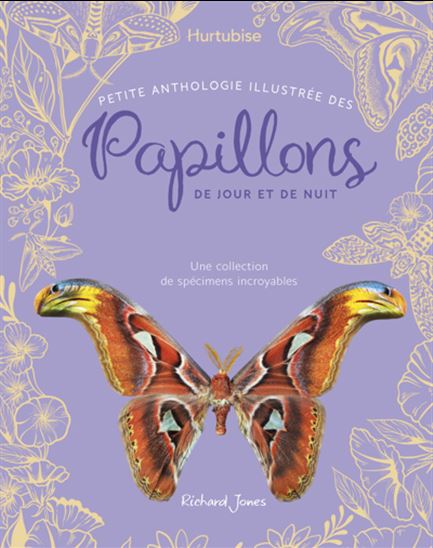 Petite anthologie illustrée des papillons de jour et de nuit : Une collection de spécimens incroyables - RICHARD JONES