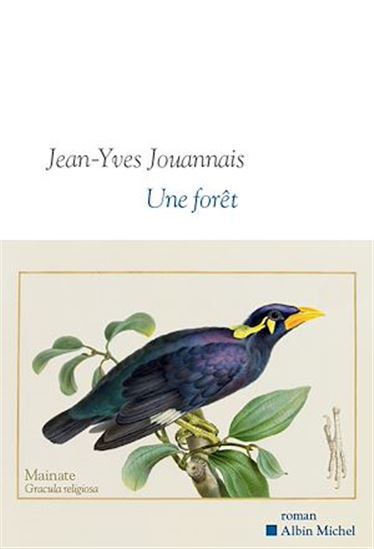 Une forêt - JEAN-YVES JOUANNAIS