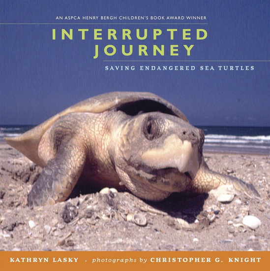 Interrupted Journey: Saving Endangered Sea Turtles - KATHRYN LASKY - CHRISTOPHER G KNIGHT