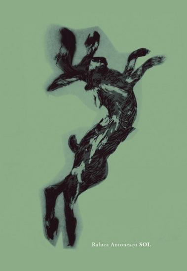 Sol - RALUCA ANTONESCU