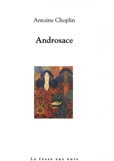 Androsace - ANTOINE CHOPLIN
