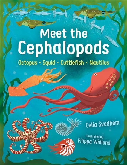 Meet the Cephalopods: Octopus, Squid, Cuttlefish, Nautilus - CELIA SVEDHEM - FILIPPA WIDLUND