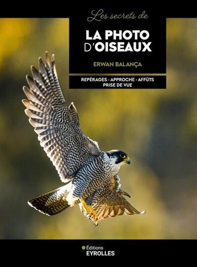 Les Secrets de la photo d'oiseaux : repérages, approche, affûts, prise de vue N. éd. - ERWAN BALANÇA