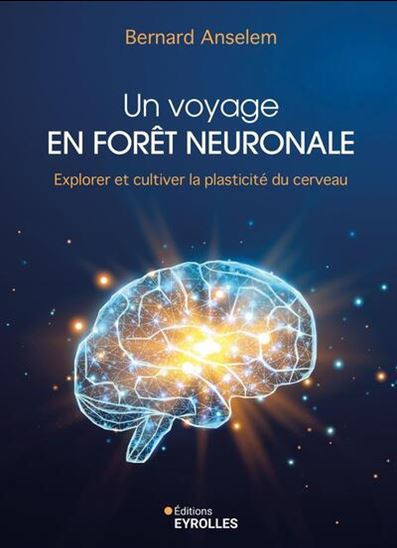 Un voyage en forêt neuronale : explorer et cultiver la plasticité du cerveau - BERNARD ANSELEM