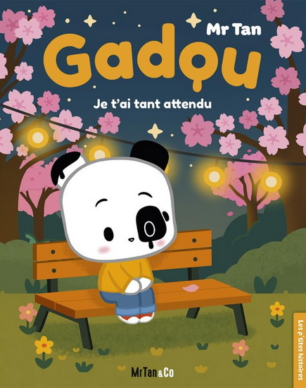 Gadou : je t'ai tant attendu - MR TAN