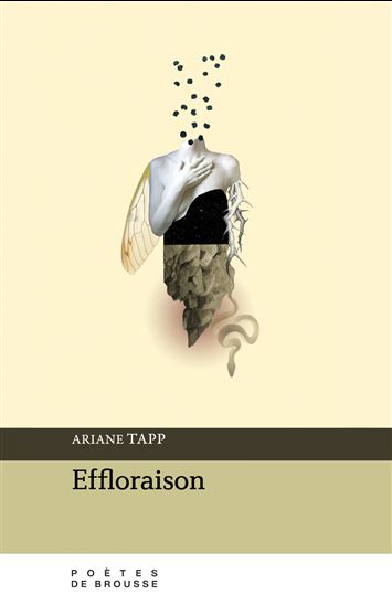 Effloraison - ARIANE TAPP