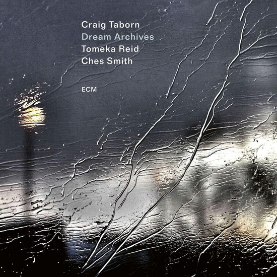 Dream Archives - CRAIG TABORN - TOMEKA REID