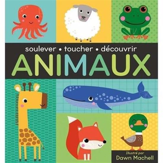 Animaux - COLLECTIF