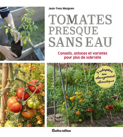 Tomates presque sans eau : conseils, astuces et variétés pour plus de sobriété - JEAN-YVES MEIGNEN