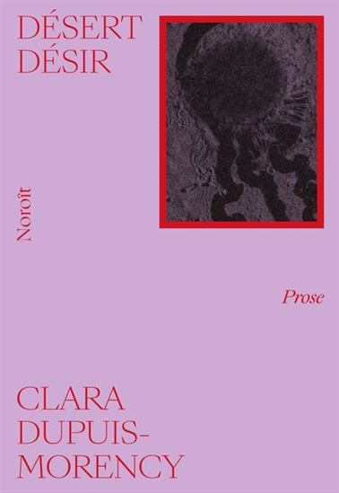 Désert désir - CLARA DUPUIS-MORENCY