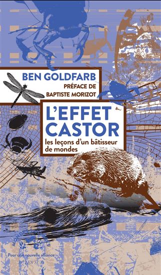 L'effet castor - BEN GOLDFARB