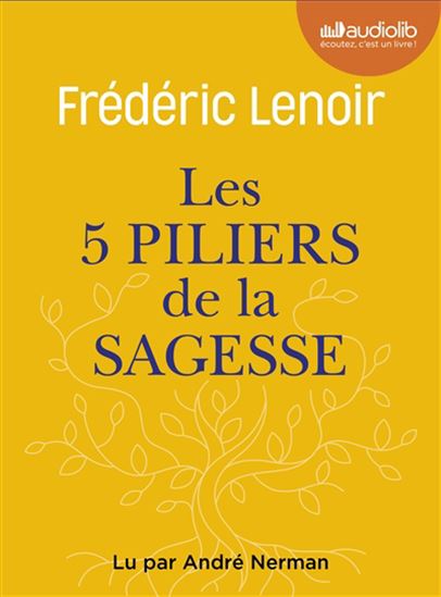 Les 5 piliers de la sagesse (CD MP3) - FRÉDÉRIC LENOIR