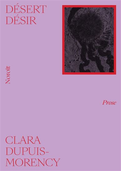 Désert désir - CLARA DUPUIS-MORENCY