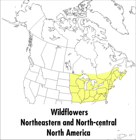 Wildflowers: Northeastern and North-Central North America 2nd ed. - MARGARET MCKENNY - ROGER TORY PETERSON