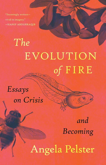 The Evolution of Fire: Essays on Crisis and Becoming - ANGELA PELSTER