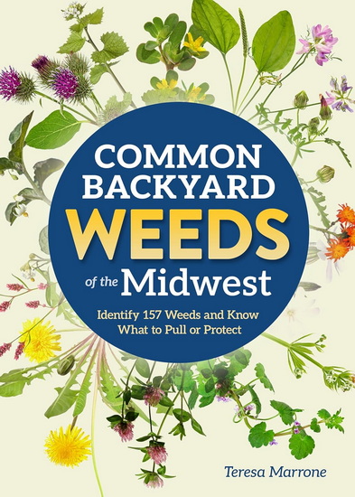 Common Backyard Weeds of the Midwest: Identify 157 Weeds and Know What to Pull or Protect - TERESA MARRONE