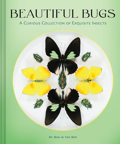 Beautiful Bugs - COLLECTIF