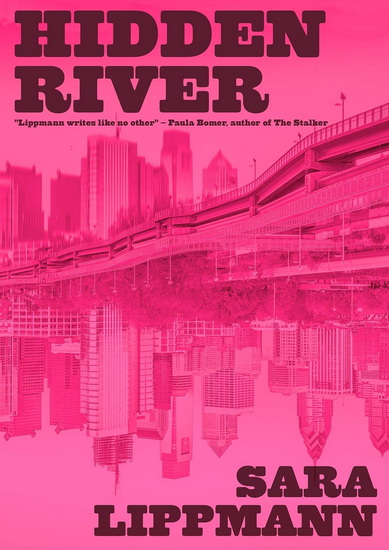 Hidden River - SARA LIPPMANN