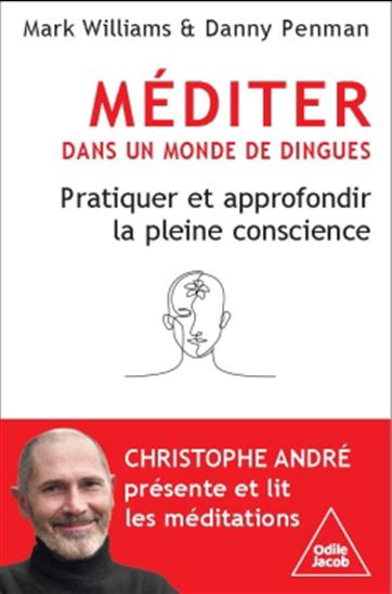 Méditer dans un monde de dingue : pratiquer et approfondir la pleine conscience - MARK WILLIAMS - DANNY PENMAN