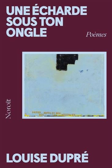 Une écharde sous ton ongle N. éd. - LOUISE DUPRÉ