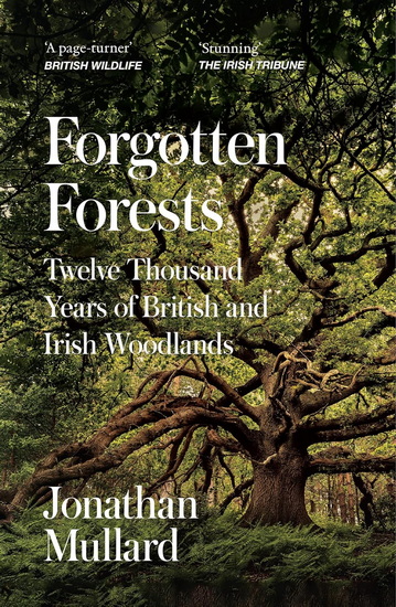 Forgotten Forests: Twelve Thousand Years of British and Irish Woodlands - JONATHAN MULLARD