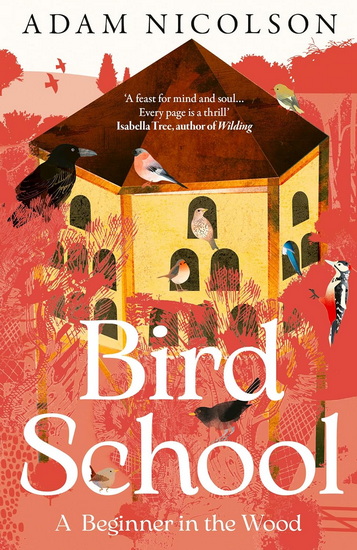 Bird School: A Beginner in the Wood - ADAM NICOLSON